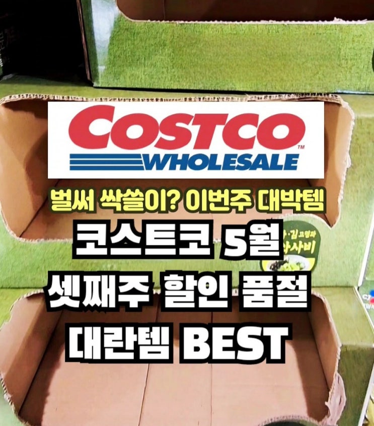  코스트코 5월 셋째주 할인상품 품절대란템 BEST