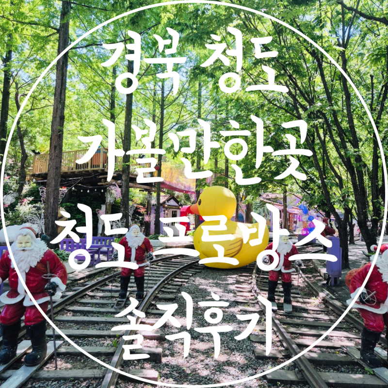 경북 청도 가볼만한곳 테마파크 추천 청도 프로방스