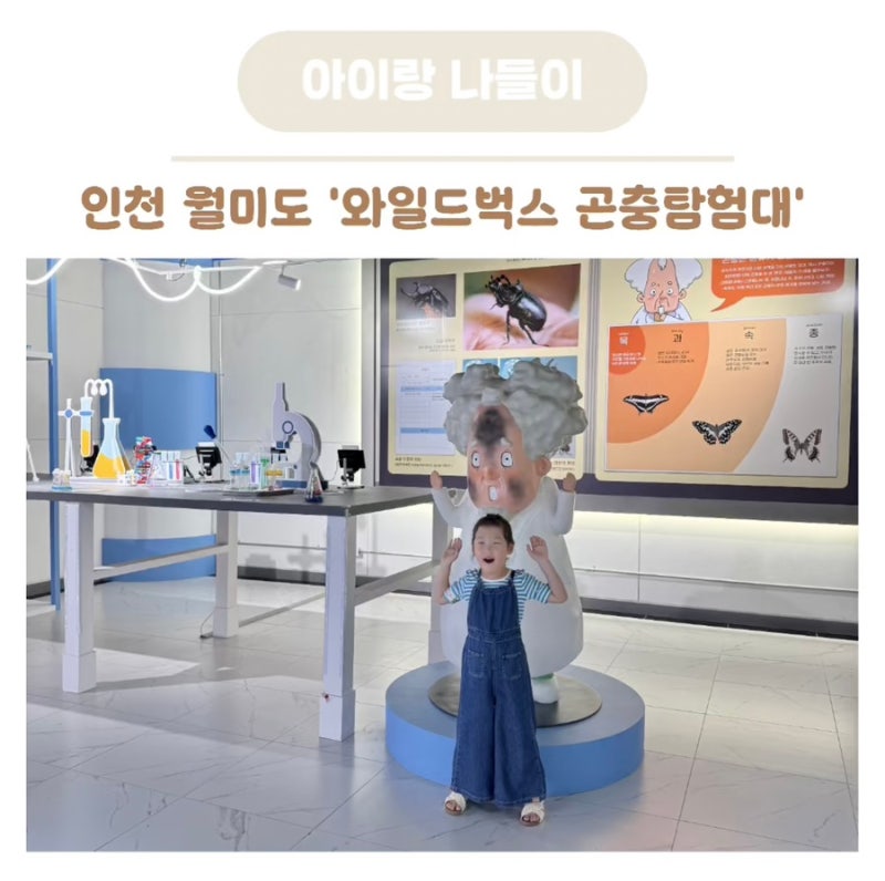 인천 곤충체험 와일드벅스 아이랑 갈만한곳 추천