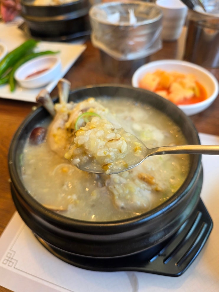  마포 삼계탕 맛집 함초소금 깊은맛 삼계보감 마포공덕점