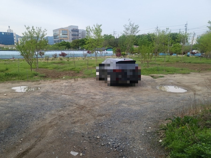 아그집쭈꾸미볶음 대구본점 사진 3