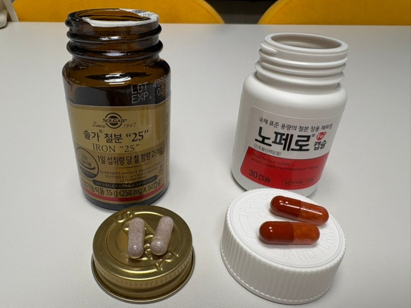 임산부 빈혈수치 정상으로 올려준 철분제 추천 / 철분제 비교 (솔가,노페로)