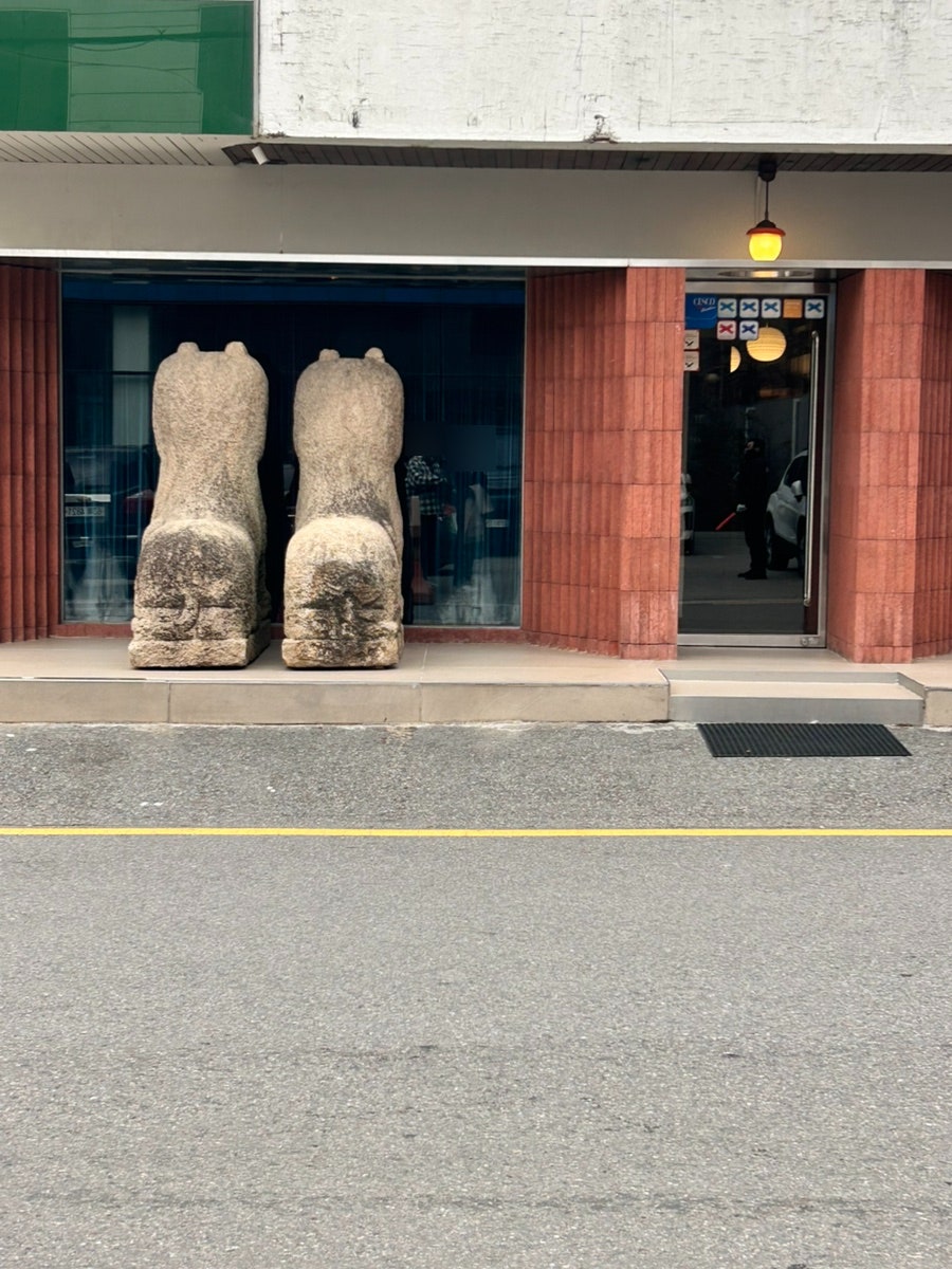 코자차 사진 4
