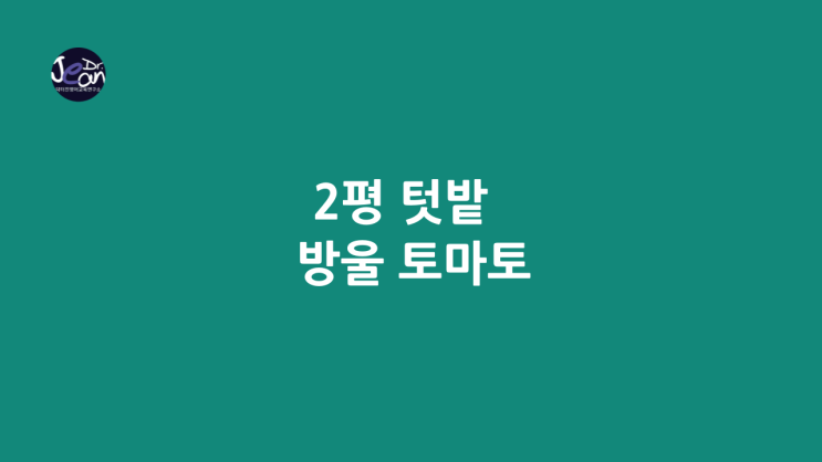  2평 텃밭 _방울 토마토