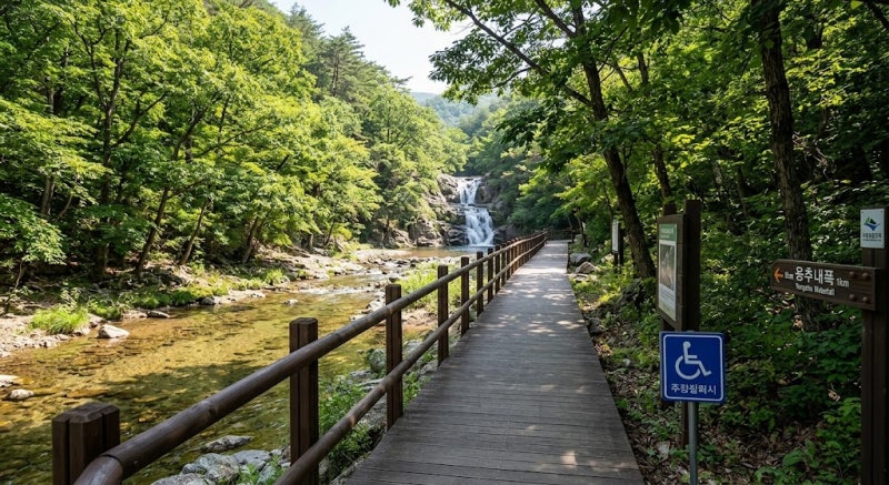 청송 주왕산 등산코스 난이도 및 상의주차장 꿀팁 총정리(+국립공원 근처 맛집 카페)