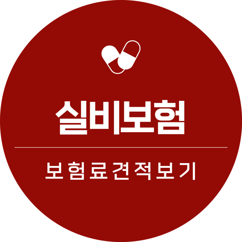 실비보험순위 의료실손보험 보장 확실하게 준비해보자