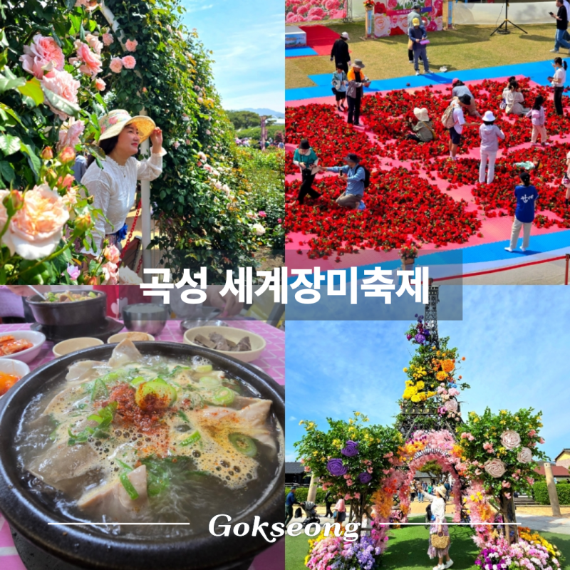 전남 5월 꽃축제 명소 / 2026 곡성 세계 장미축제 기간 개화 시기 섬진강 기차마을 전통시장 ....