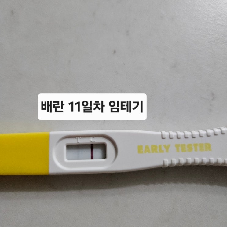  임신성공 스마일배란테스트기  얼리임신테스트기 사용방법 사용후기