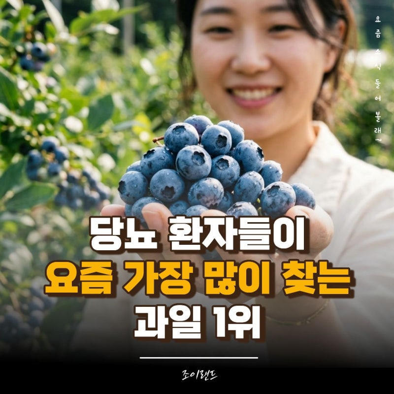 당뇨에 좋은 블루베리 효능과 안전하게 먹는 법