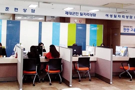서울시 50플러스 일자리와 활용법