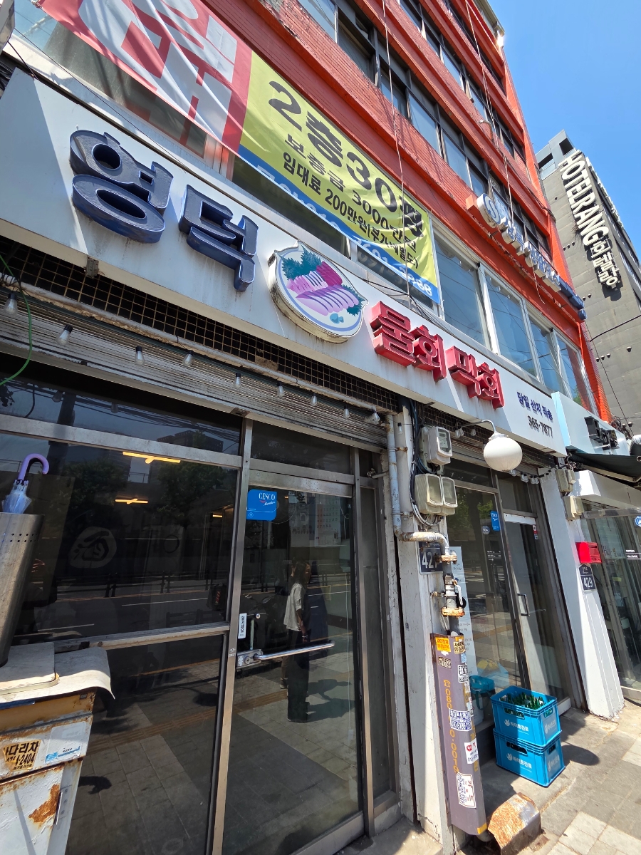 영덕물회막회 사진 2