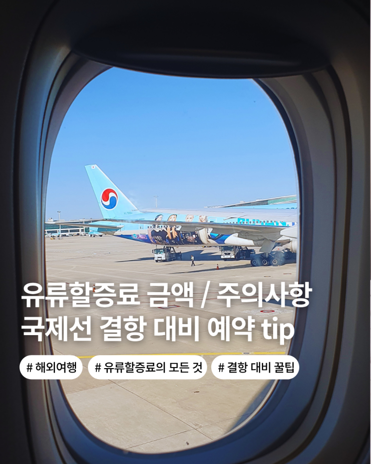  일본 삿포로 여행 삿포로 항공권 유류 할증료 금액 NOL 예약 주의사항
