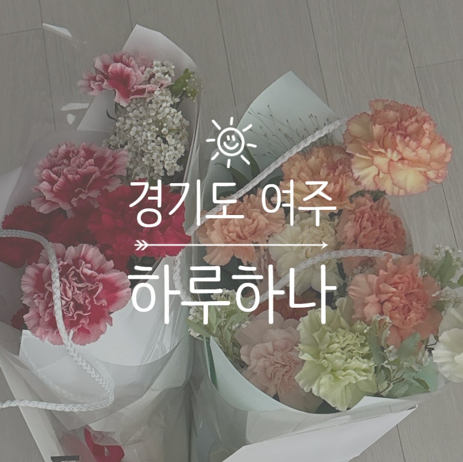 하루하나 사진 2
