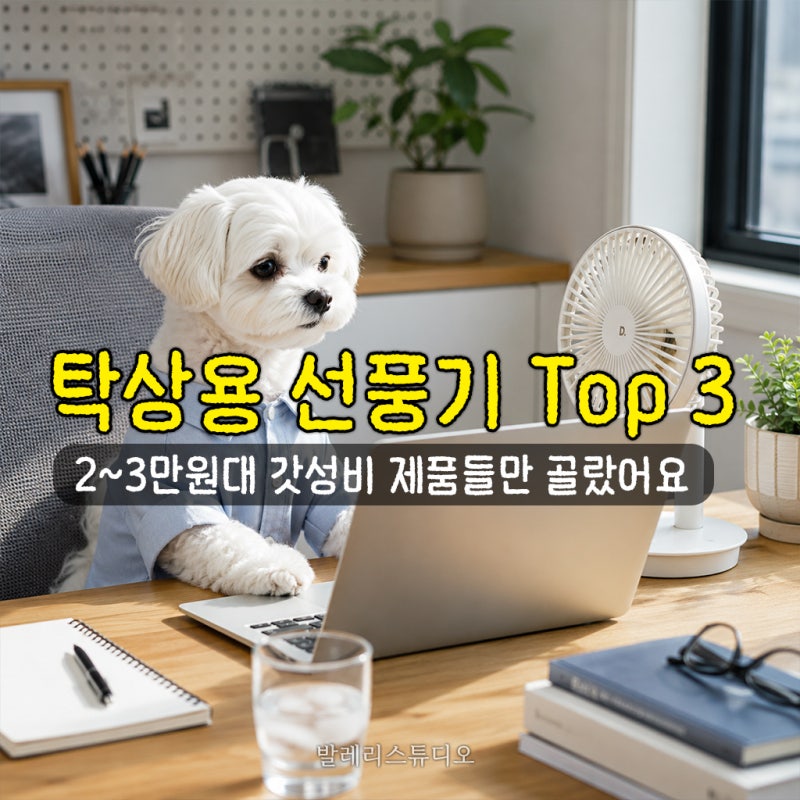 무소음 탁상용 선풍기 추천 BEST 3 연예인들이 대기실에서 꼭 쓰는 이유