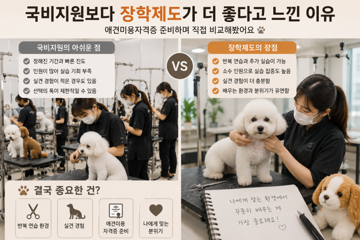  애견미용 국비 과정 상담받고 느낀 점 