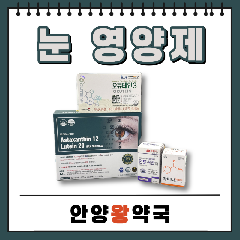 눈 영양제 어떤 게 좋을까? 루테인 지아잔틴 아스타잔틴 빌베리 아미나엑스 녹내장 황반변성....