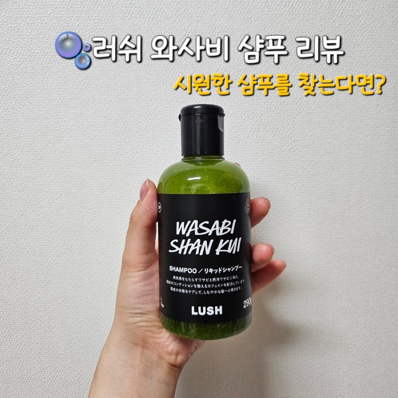 두피 개운함 미쳤다!여름 두피템 추천 | 러쉬 와사비 샨 쿠이 샴푸 한달 사용 후기