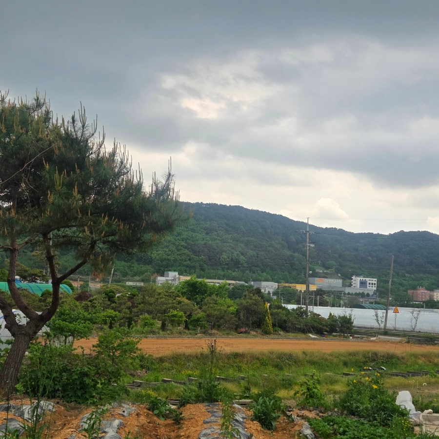 서해정 사진 1