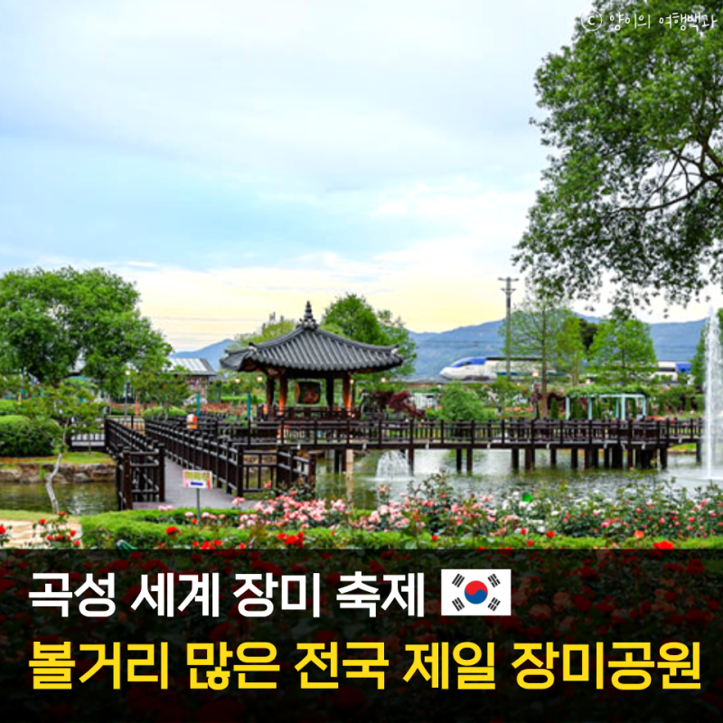 곡성 장미축제 2026 일정 라인업 주차 꿀팁