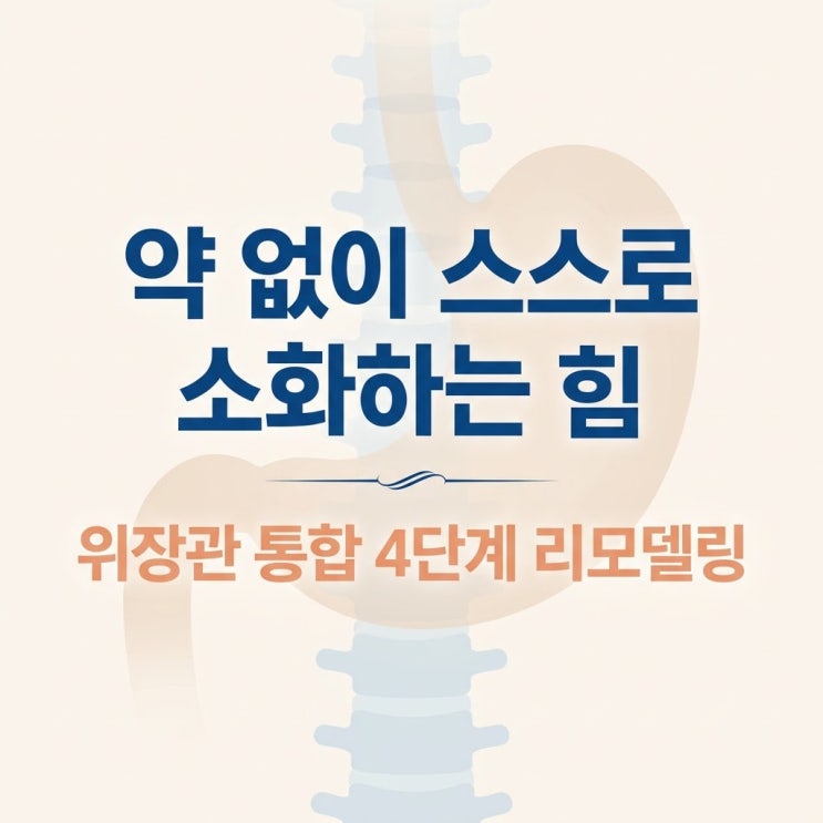  만성 소화불량 완치, 제산제 소화제 한계 극복하는 4단계 위장 리모델링
