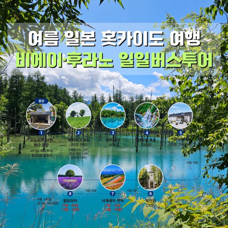  삿포로 비에이·후라노 일일투어 토모야 소소버스투어로 떠나는 일본홋카이도 여름여행지 추천