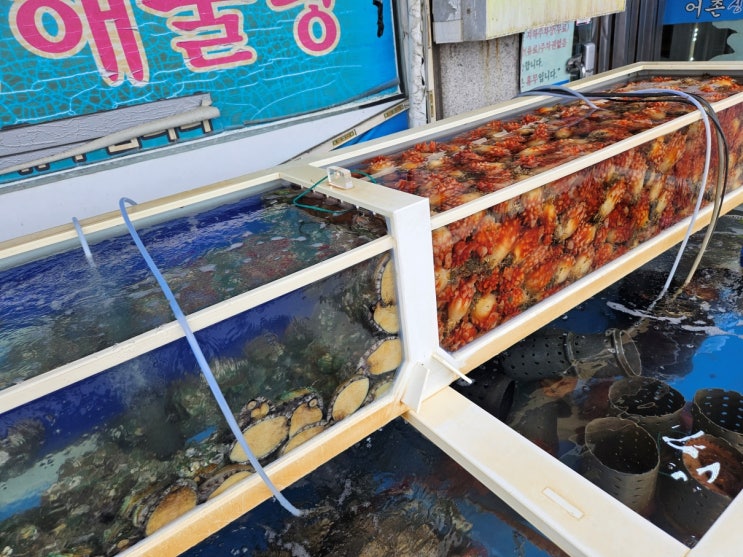 <b>통영</b> 점심 맛집 중앙<b>시장</b> 근처 든든한 식사