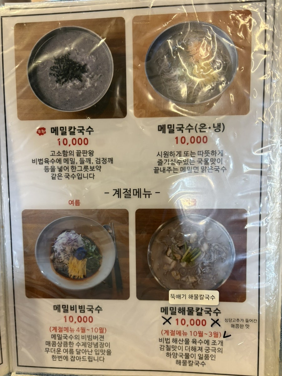 더메밀 사진 6