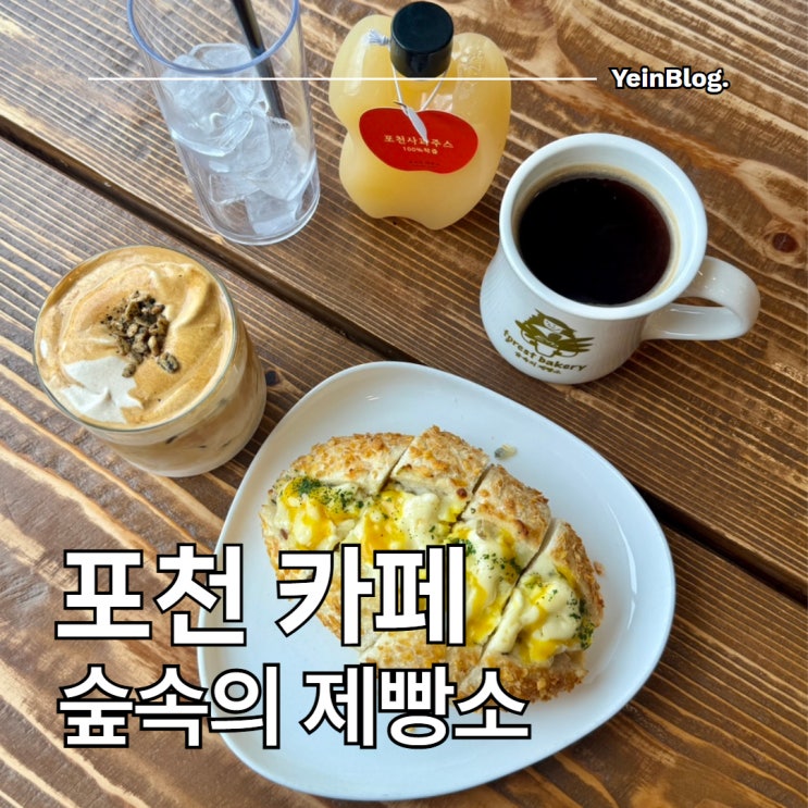  포천 카페 숲속의제빵소 베이커리 맛집 & 청보리밭 포토존