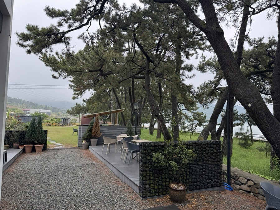 리빈 사진 6