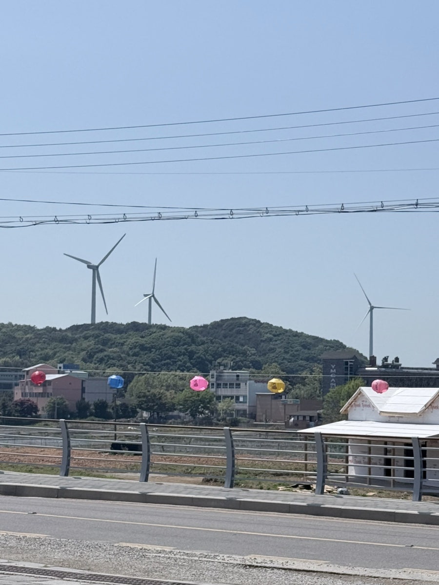 장경리항아리바베큐보쌈 사진 2