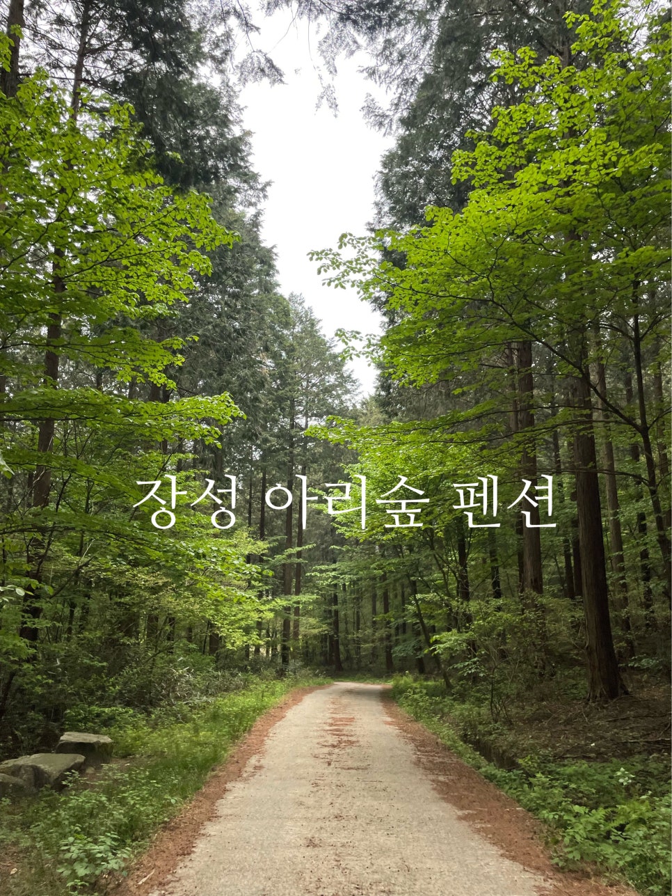 아리숲펜션 사진 1