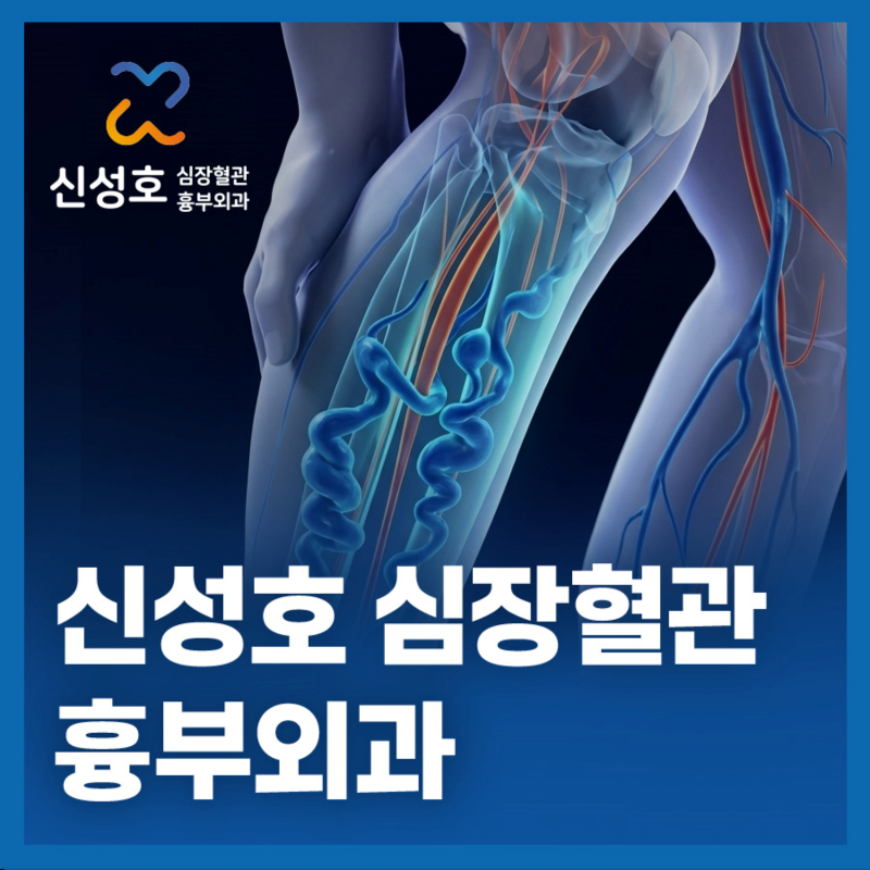 남양주 하지정맥류 병원, 다리가 붓고 무거운 이유 하지정맥 원인 증상 치료