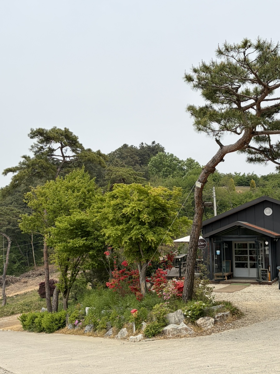 소희네 사진 1