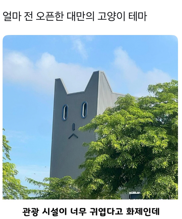  얼마 전 오픈한 대만의 고양이 테마 시설
