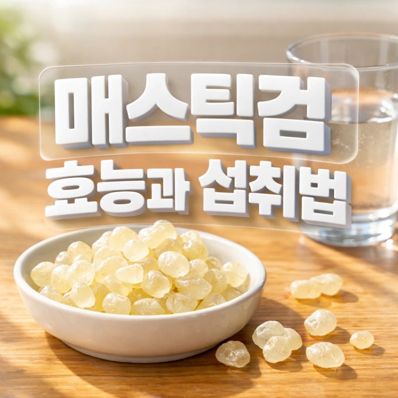 매일 속 쓰린 직장인 필독! 매스틱검 효능 제대로 보고 역류성 식도염 탈출하는 섭취 꿀팁