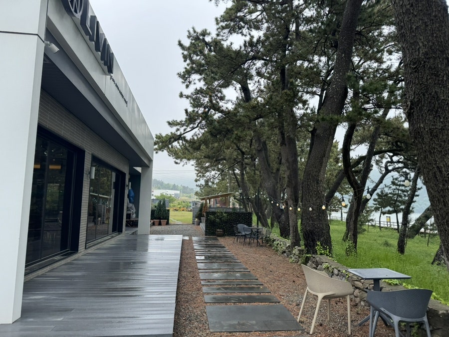 리빈 사진 5
