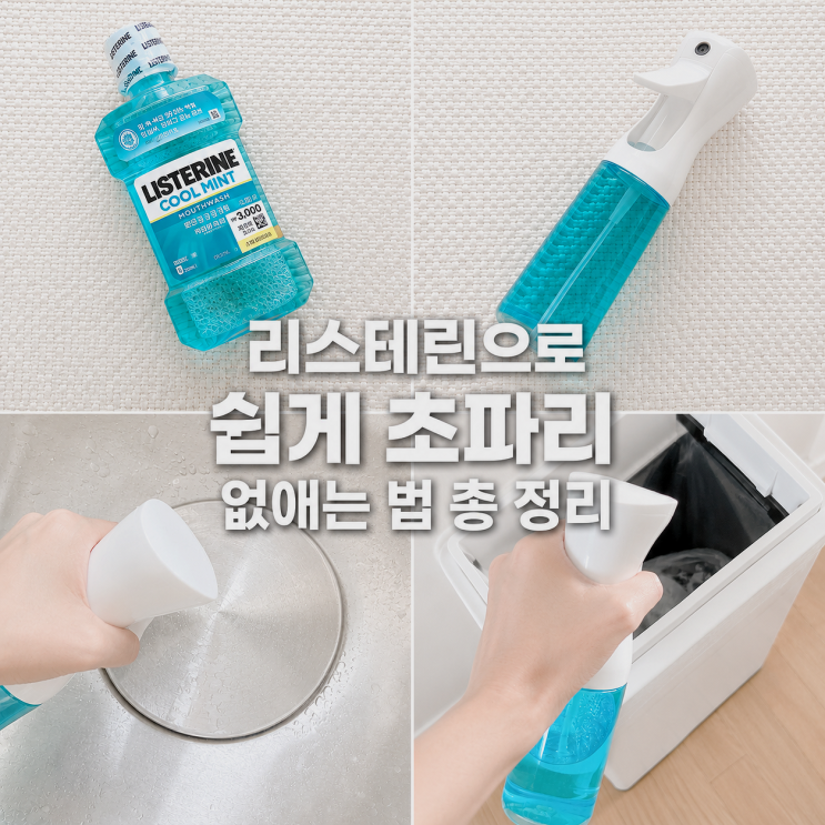  초파리없애는법 총정리 | 리스테린으로 근본 원인까지 싹!