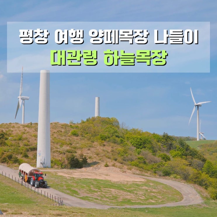  평창 대관령 하늘목장 양떼목장 트랙터 전망대 강원도 여행지 가볼만한 곳