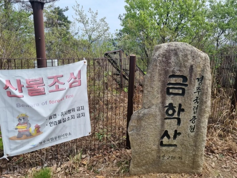 경주 등산 추천! 소금강산에서 금학산까지 다녀오다