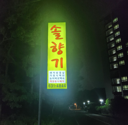 솔향기 사진 4