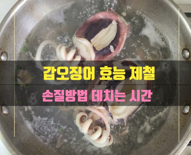 갑오징어 제철 시기 효능 효능 먹는방법 손질방법 삶는 데치는 시간 요리