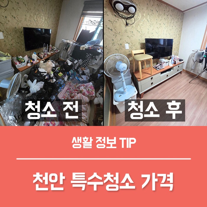 천안 특수청소 가격, 쓰레기집청소 현장 후기