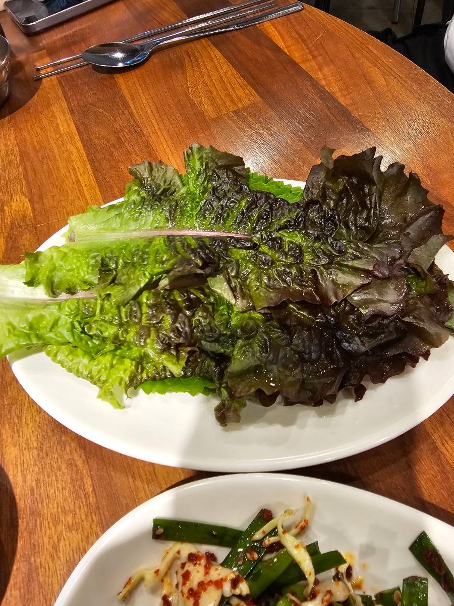 손가네 사진 5
