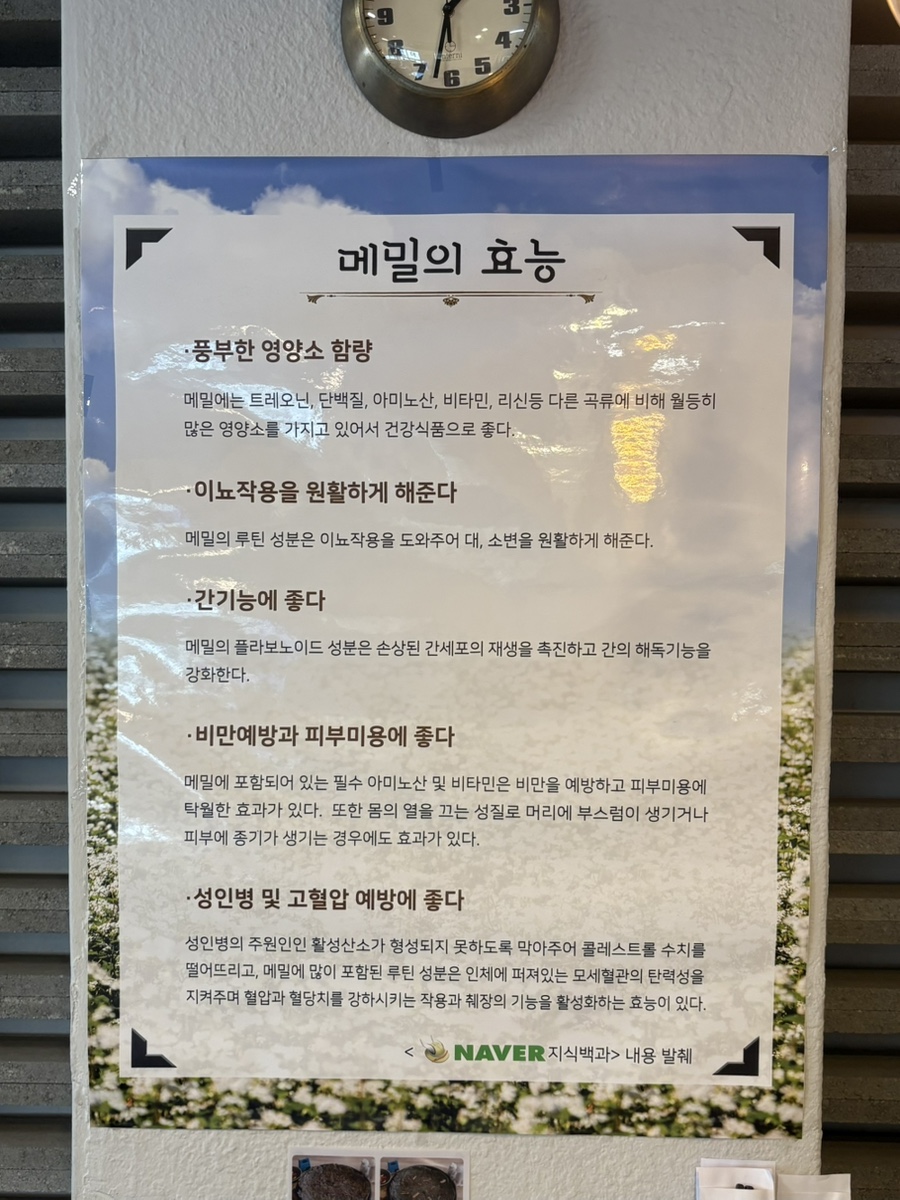 더메밀 사진 4