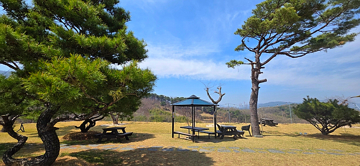 Joteunachimpeseuchyuri Hongseongnaepojeom photo 3