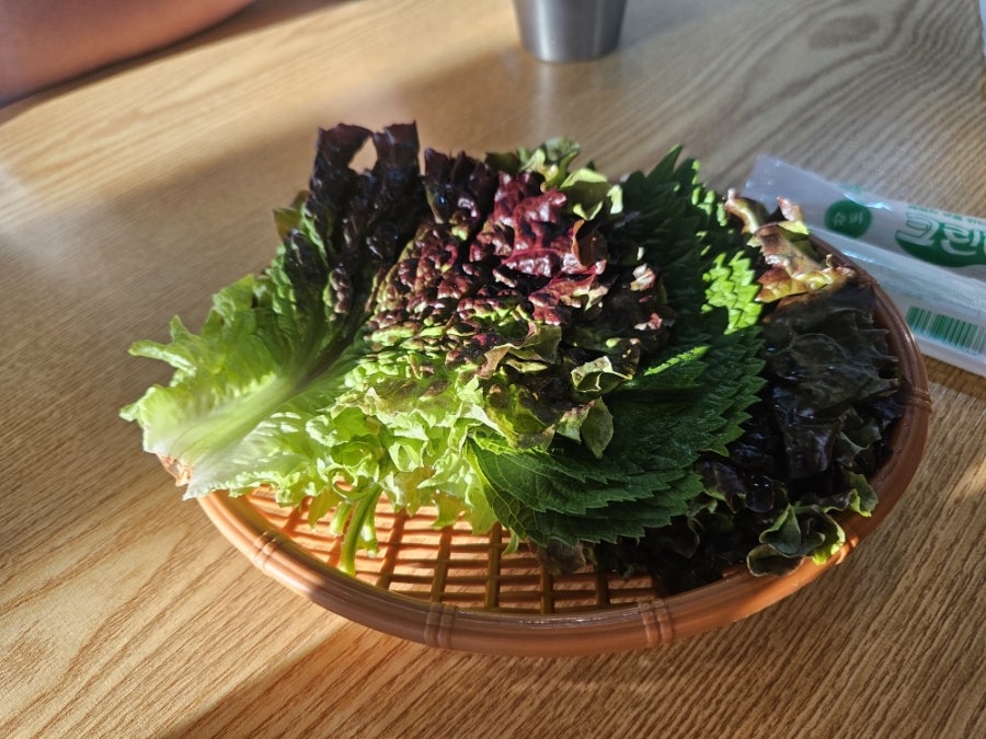 대보회수산 사진 6