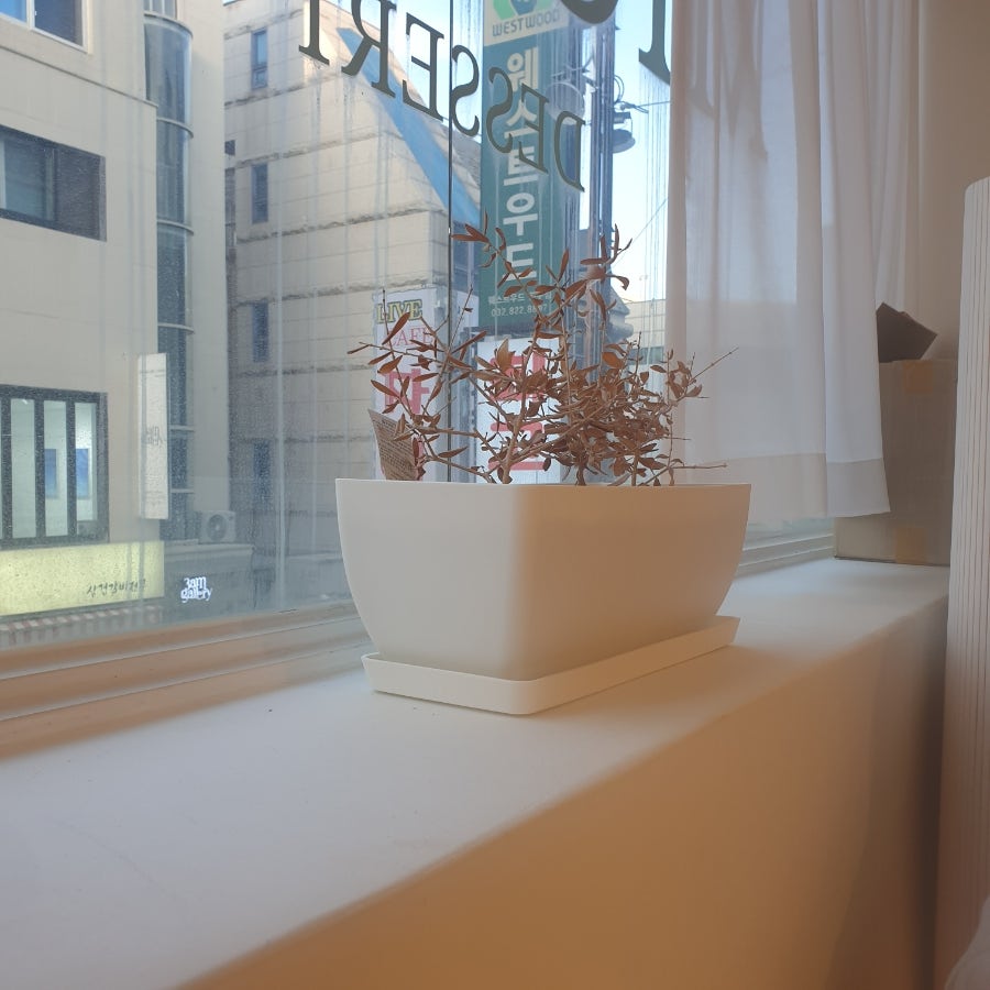 미오밀 사진 5