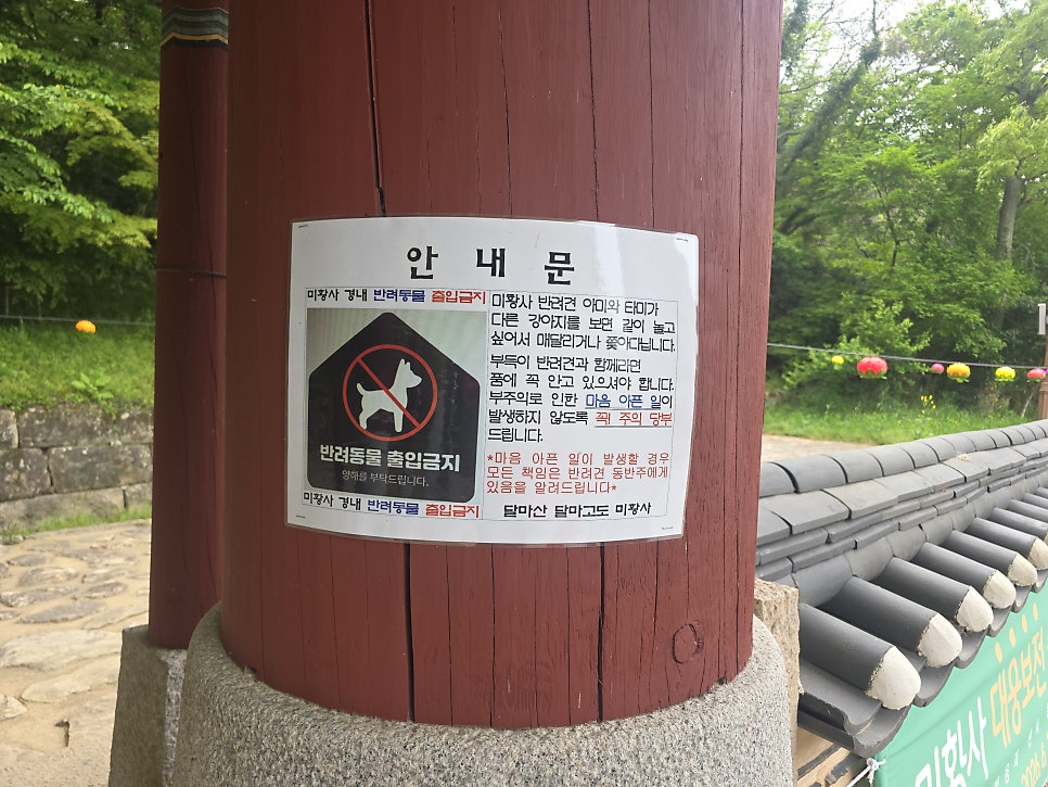 달마산 사진 4