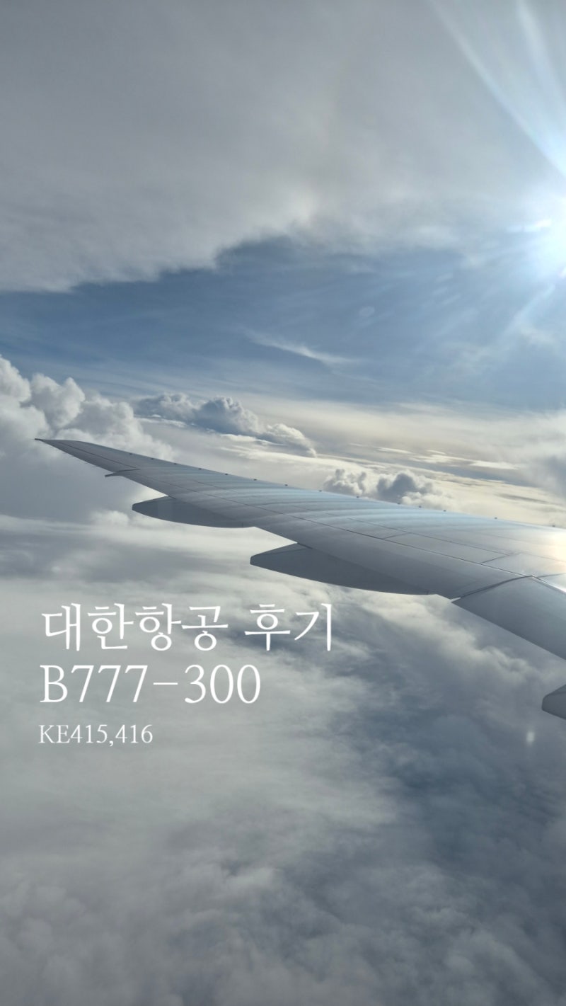 괌 여행 I 대한항공 KE415 KE416 기내식, 교통약자 등록
