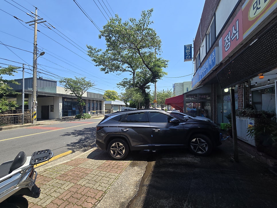 팔도강산 사진 3